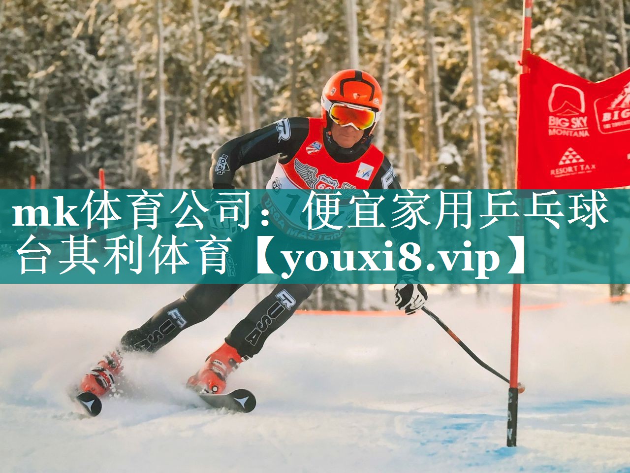 mk体育公司：便宜家用乒乓球台其利体育