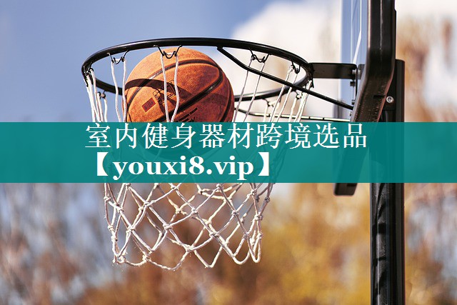 室内健身器材跨境选品