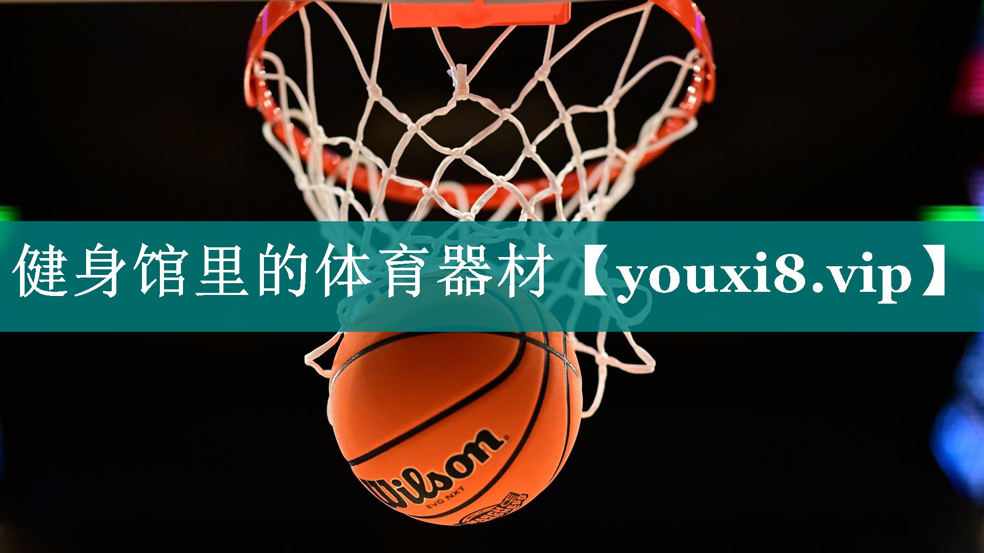健身馆里的体育器材